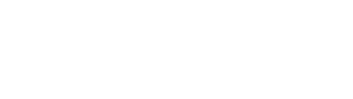 Ravic Logo Footer